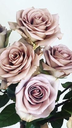 a vase filled with pink roses on top of a table