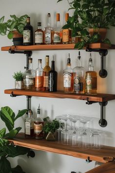 the shelves are filled with liquor bottles and glasses on top of wooden shelves next to a potted plant