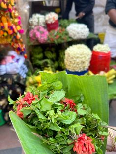 there are many different types of flowers on display