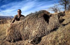 a man kneeling down next to a large animal