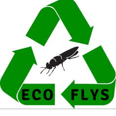 a green recycle with the words eco flies on it