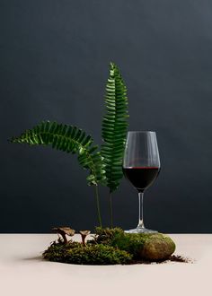 a glass of wine sitting next to a plant on top of a rock and moss