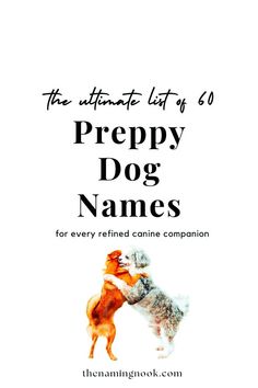 the ultimate list of 6 prepy dog names for every retired canine companion