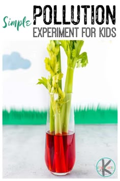 a vase filled with red liquid and green vegetables next to the words, simple pollution experiment for kids