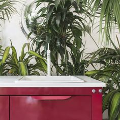 a bathroom sink sitting under a mirror next to plants