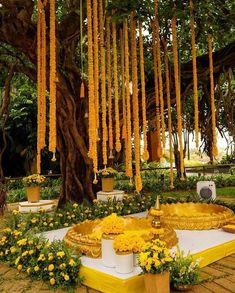 yellow flowers are hanging from the trees in front of a bench with benches under it