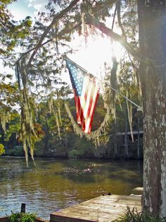 an american flag hanging from a tree next to a body of water