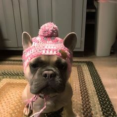 a brown and white dog wearing a pink knitted hat on top of a rug