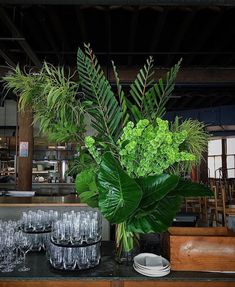 a table topped with lots of glasses next to a green plant and potted plant