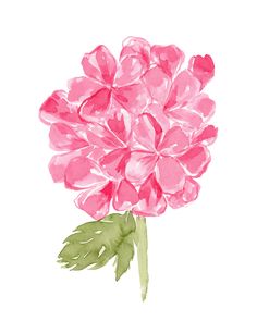 a watercolor drawing of a pink flower