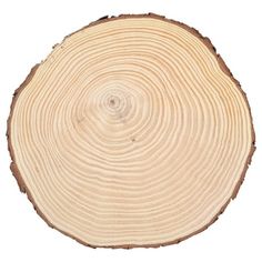 the cross section of a tree is cut in half