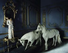 two white horses standing next to each other in front of a blue wall and mirror