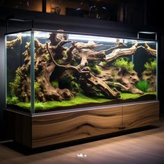 an aquarium filled with lots of green plants and trees in the middle of a dark room