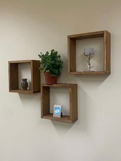 three square wooden shelves with plants on them