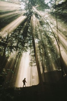 a person standing in the middle of a forest with sunbeams shining down on them