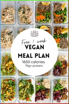 the meal plan is full of healthy meals