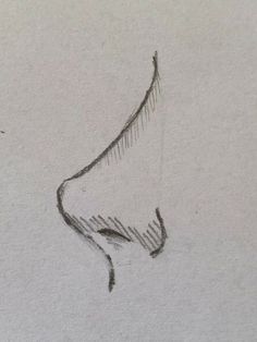 a pencil drawing of a horse's head