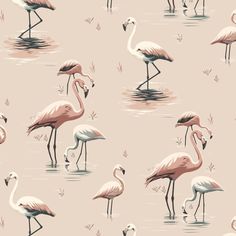 a flock of flamingos standing on top of a body of water