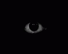 an eye is shown in the dark