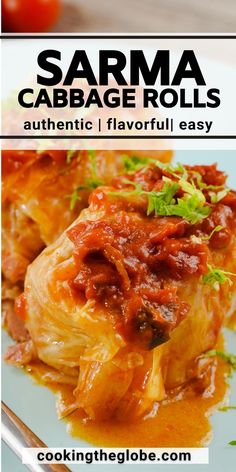 an image of cabbage rolls on a plate with tomato sauce and parmesan cheese