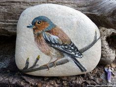 a bird painted on a rock sitting on top of a tree branch next to a log