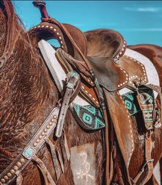 a close up of a horse's saddle and bridle with turquoise sky in the background