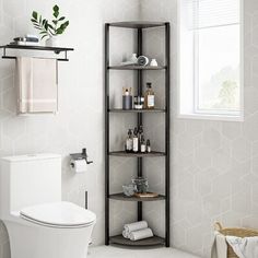 a bathroom with a toilet and shelving unit