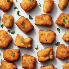 some fried food on a white plate with green garnish and parsley sprinkled