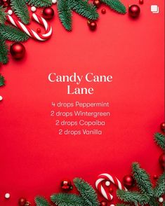 Essential Oil Christmas Blend, Top Essential Oils, Doterra Diffuser Blends, Diy Essential Oil Recipes, Essential Oils 101, Doterra Essential Oils Recipes, Essential Oils Cleaning