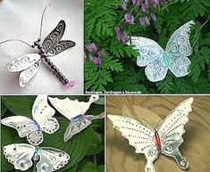 four different types of butterflies are shown in this collage