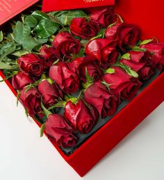 red roses are in a large red box