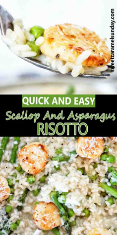 Fork holding risotto with scallops and asparagus above black pan of the same. There is text written between 2 images. Scallops And Asparagus Recipe, Risotto Recipes Parmesan, Scallop Risotto Recipes, Scallop Risotto, Crisp Asparagus, Prawn Risotto, Asparagus And Peas, Leek Risotto, Parmesan Rice