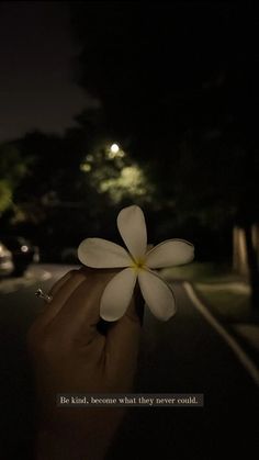 a person holding a flower in the dark