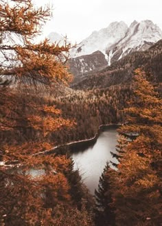 a lake surrounded by trees in the mountains