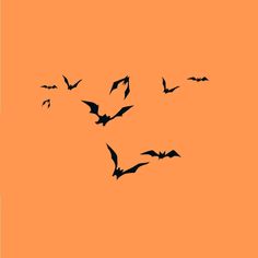 a flock of bats flying across an orange sky