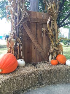 pumpkins and gourds are sitting on hay in front of a wooden gate