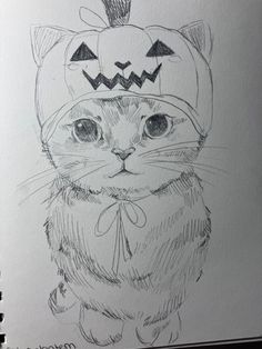 a drawing of a cat wearing a pumpkin hat