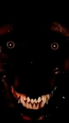 a creepy black dog with big eyes and teeth