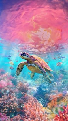 a turtle swimming in the ocean surrounded by corals and other marine life under water