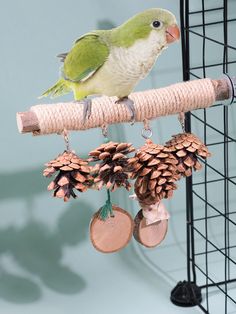 a green bird perched on top of a pine cone hanging from a tree branch next to some pine cones