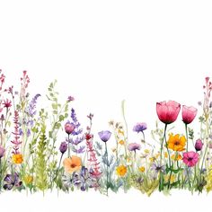 watercolor painting of flowers and grass on a white background