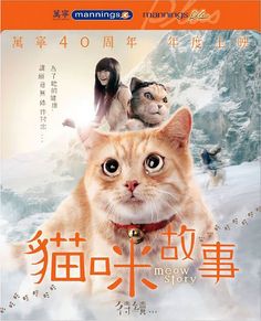 an orange and white cat with chinese characters on it's back cover for the movie meow story