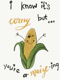 a drawing of a corn cob with the words i know it's funny but you