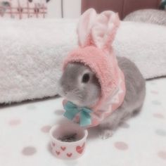 a small gray and white rabbit wearing a pink bunny costume next to a coffee cup