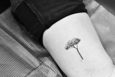 a black and white photo of a single flower on the left side of the leg