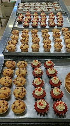 several trays of cupcakes and pies on display