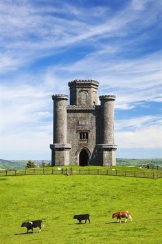 cows graze in front of an old castle on top of a green hill with blue sky