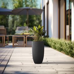 a potted plant sitting on top of a white tile floor next to a patio