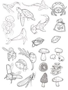 some different types of mushrooms and other things in black and white ink, with one line drawing