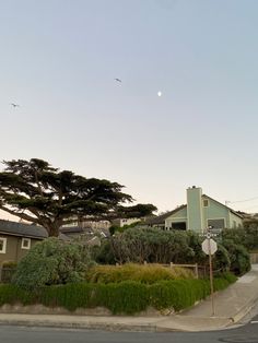 a street with houses and trees in the background